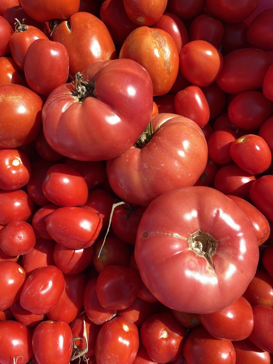 sizi salça yapalım da görün :)