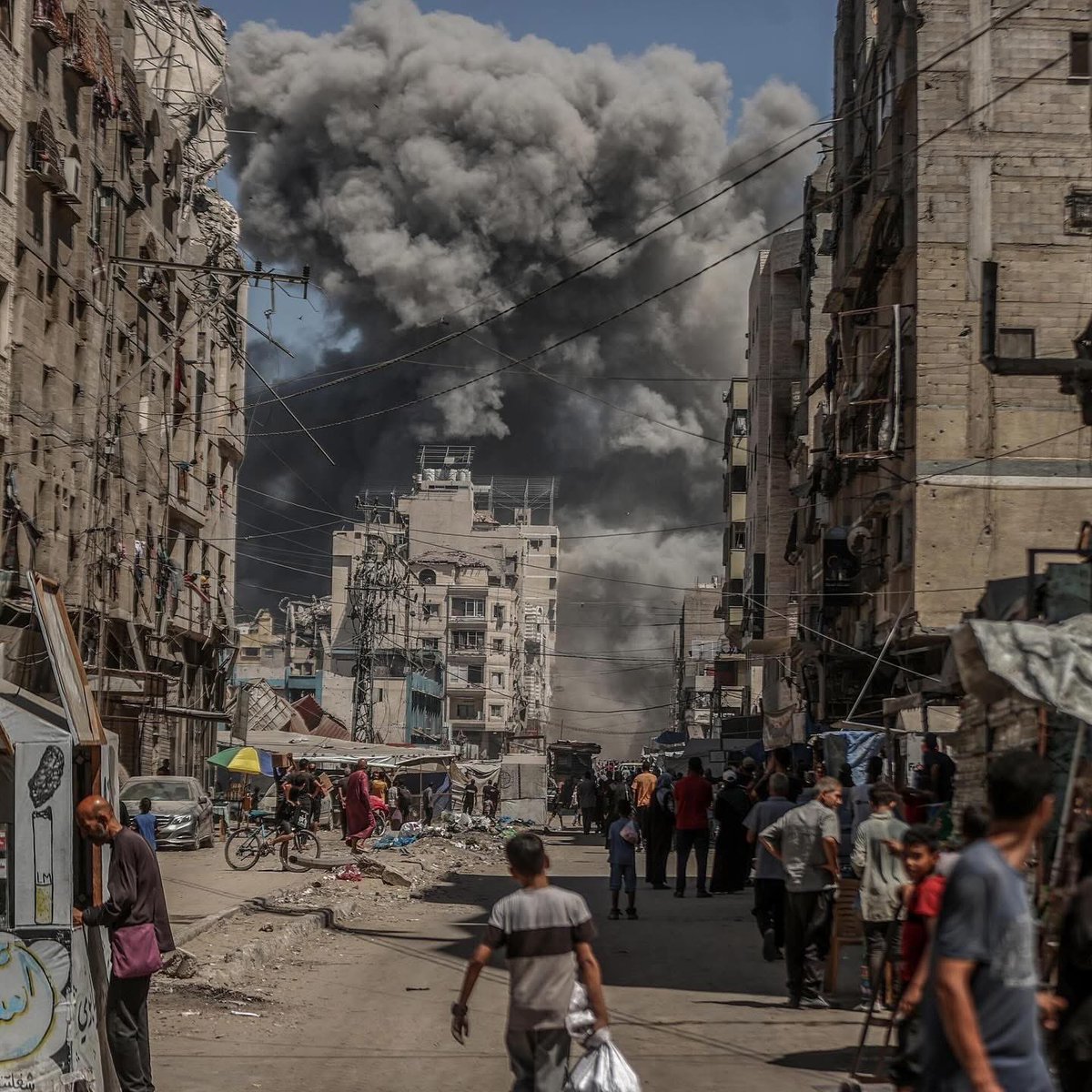 Gaza Notifications tweet media