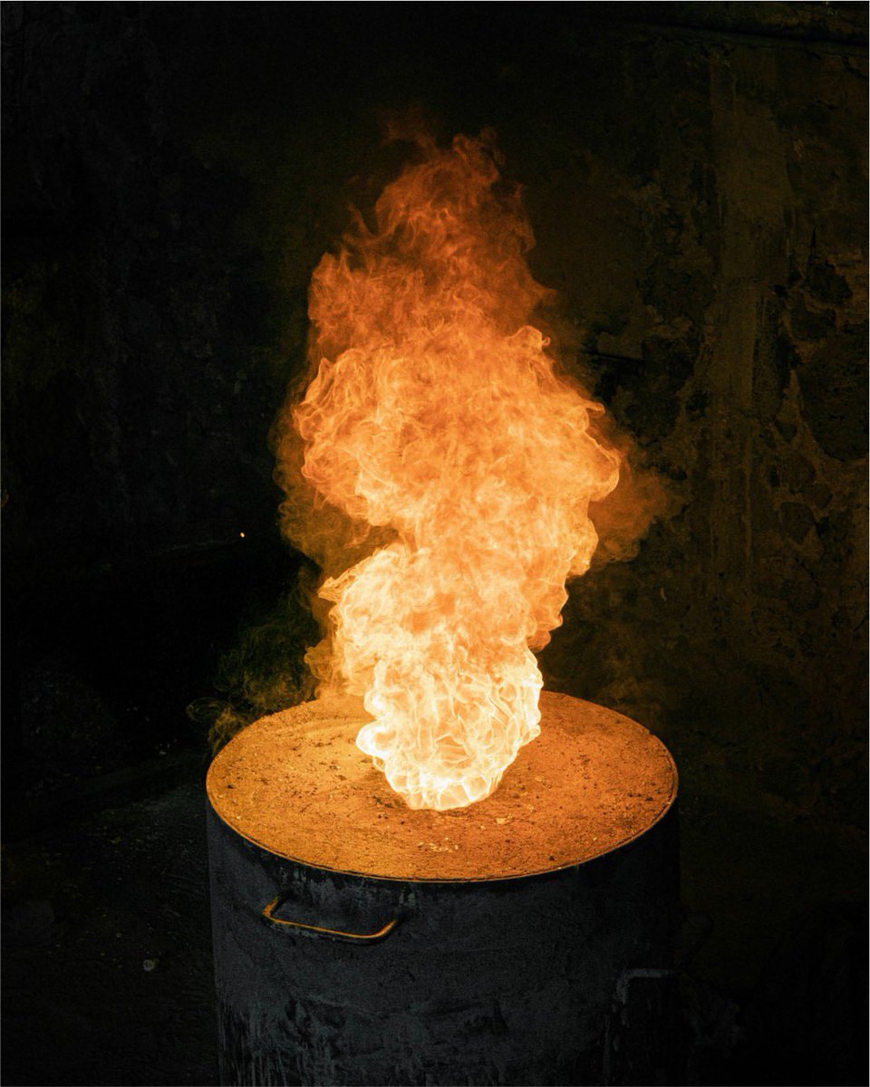 Rebecca Van Dyck tweet media