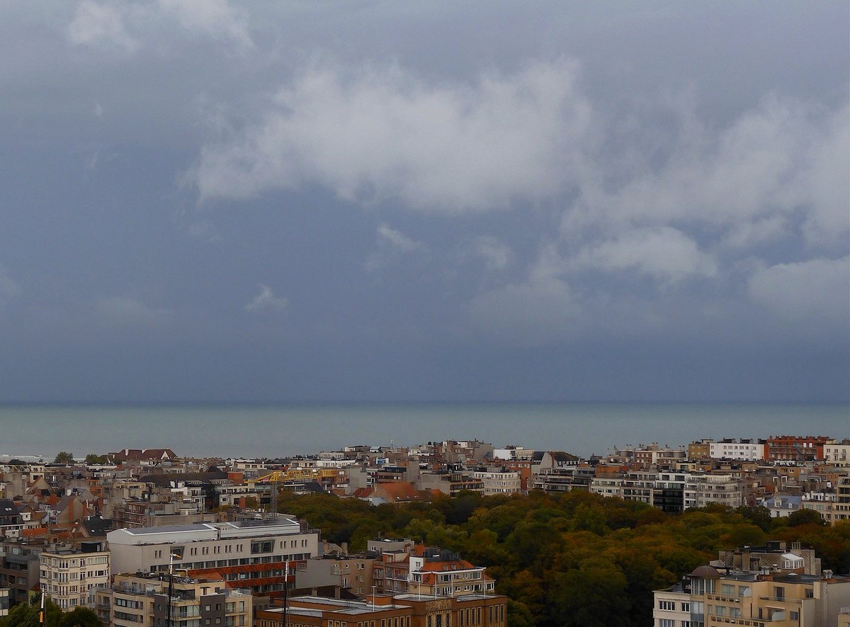Green sea, rainy day...  🌧️☂️ 💜