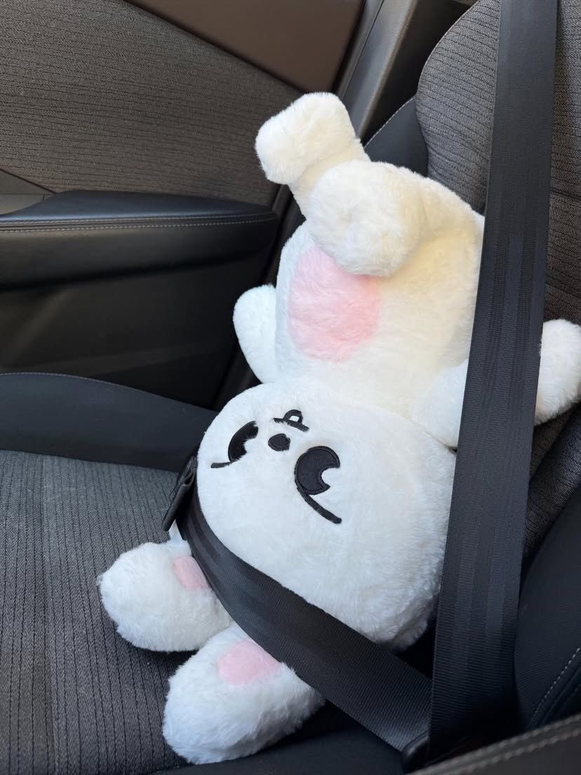 jiniret_ferret's tweet image. drove over a curb slightly.. leebies so dramatic