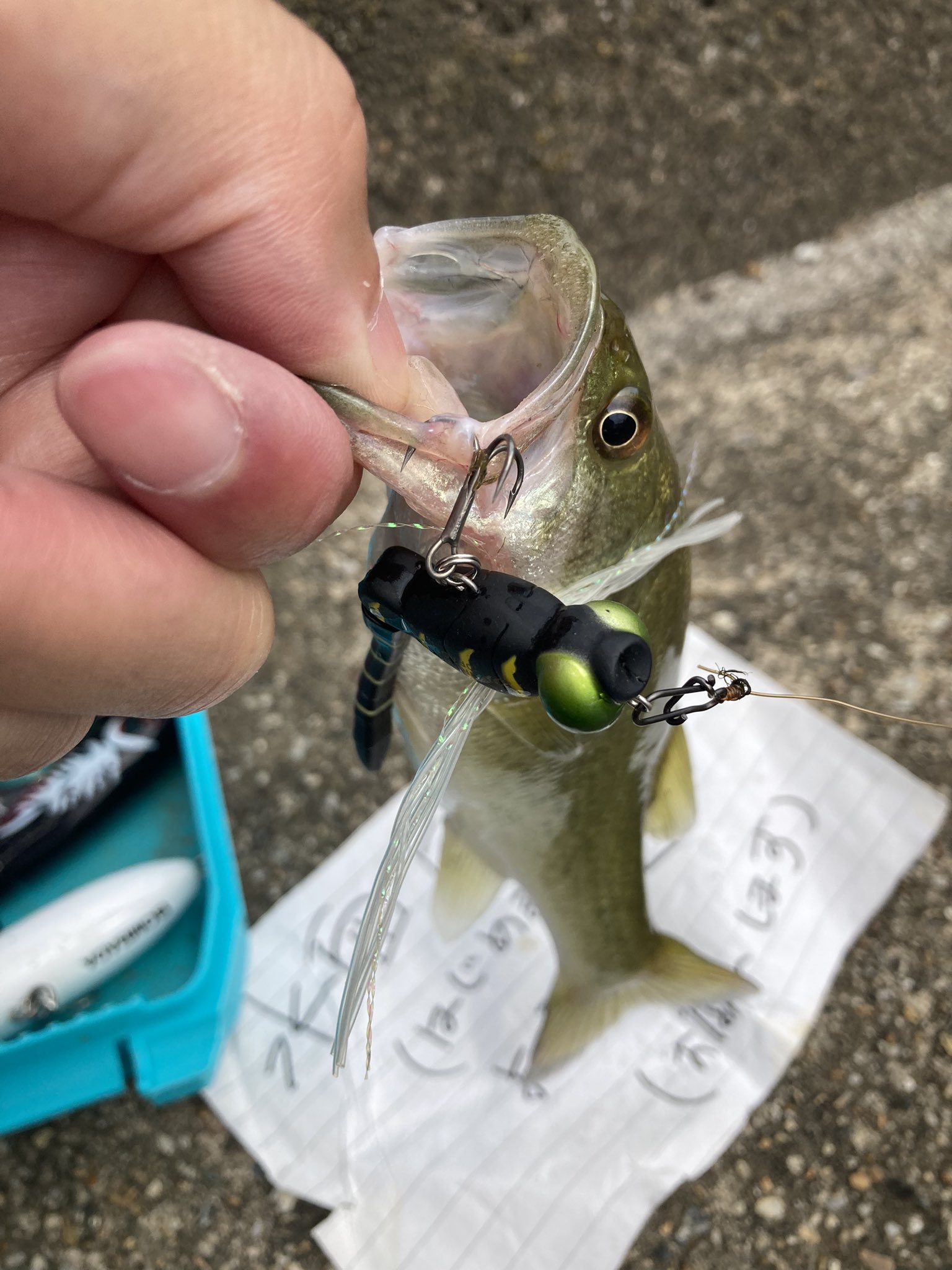 Y*d様 早いもの勝ち❗️ビッグベイトまとめ売り❗️ 1,300円均一❗SPYWORKS SHM-180 65g メガドッグ❌風 - メルカリ