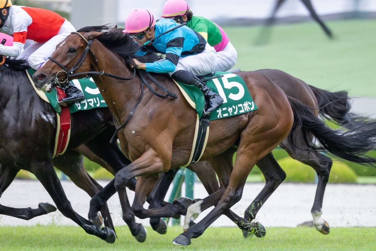 オニャンコポン - Search / X