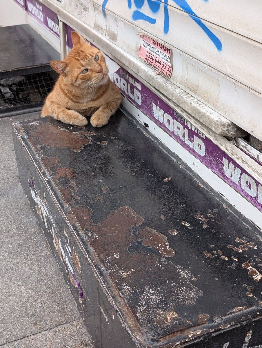 Hey human, here is your coffin.