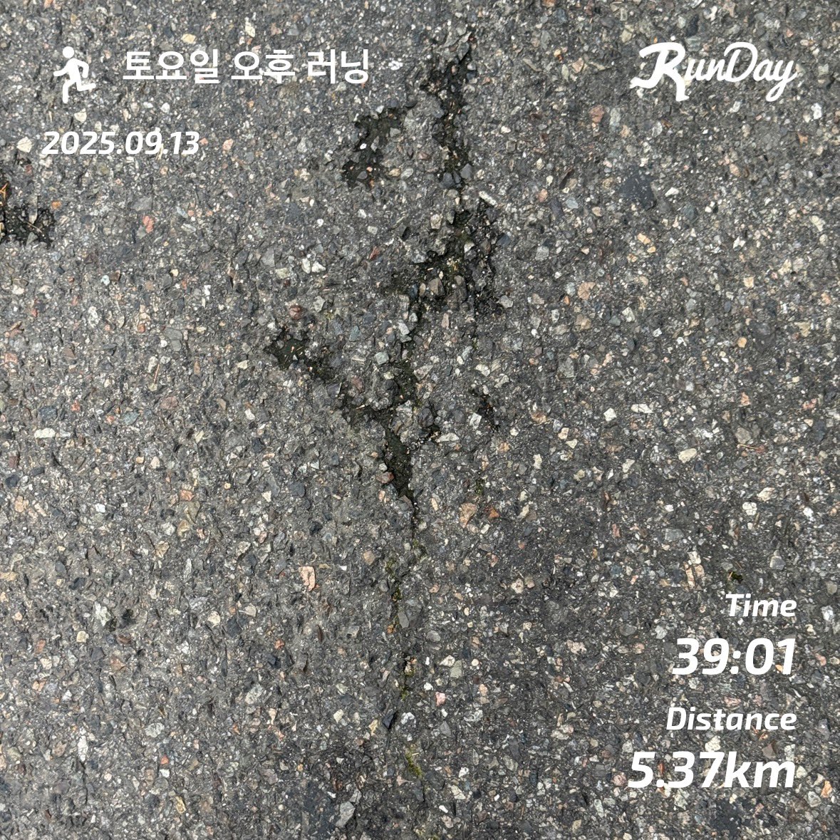 오런완 !!
이제 낮에도 달릴 수 있어요 !!