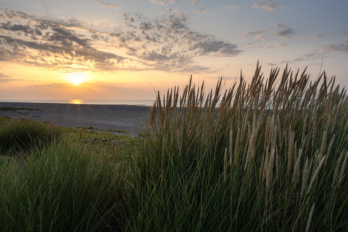 The sun sets on a late summer’s evening at the sand dunes near Smeale Beach. This tuft of grass seed heads gently swaying in the wind caught my imagination. A nice slice of a summer which already feels like a life time ago 🌅 #iom #isleofman #landscapephotography