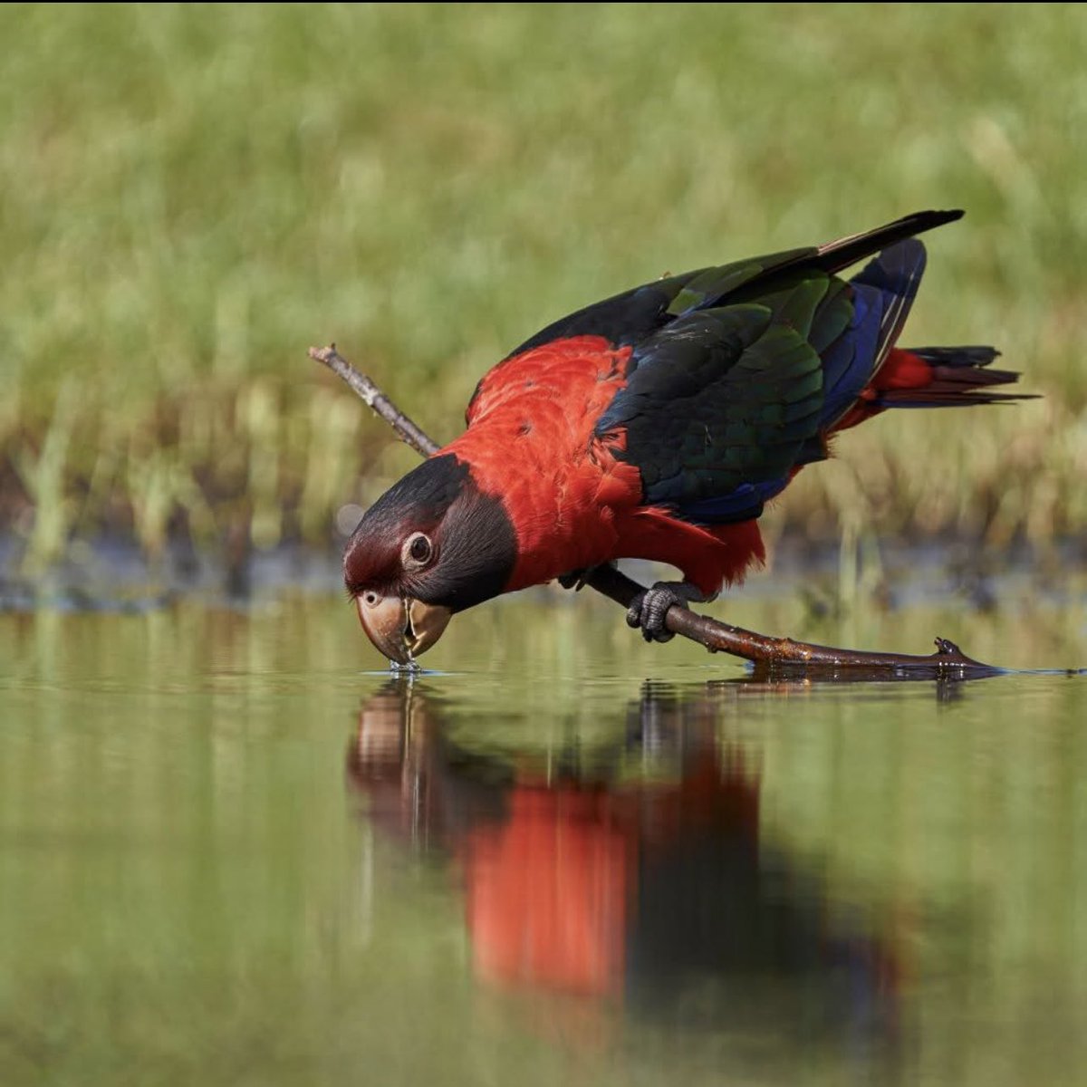 Julio César Martínez tweet media