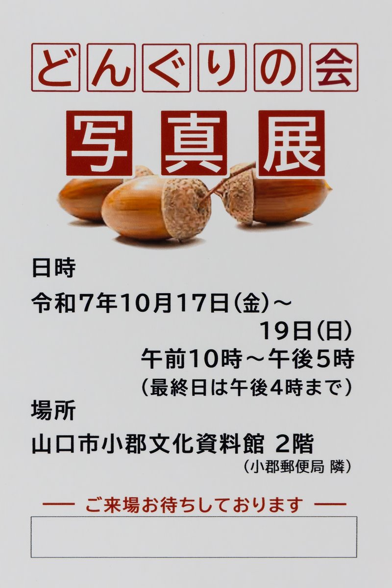 告知です。