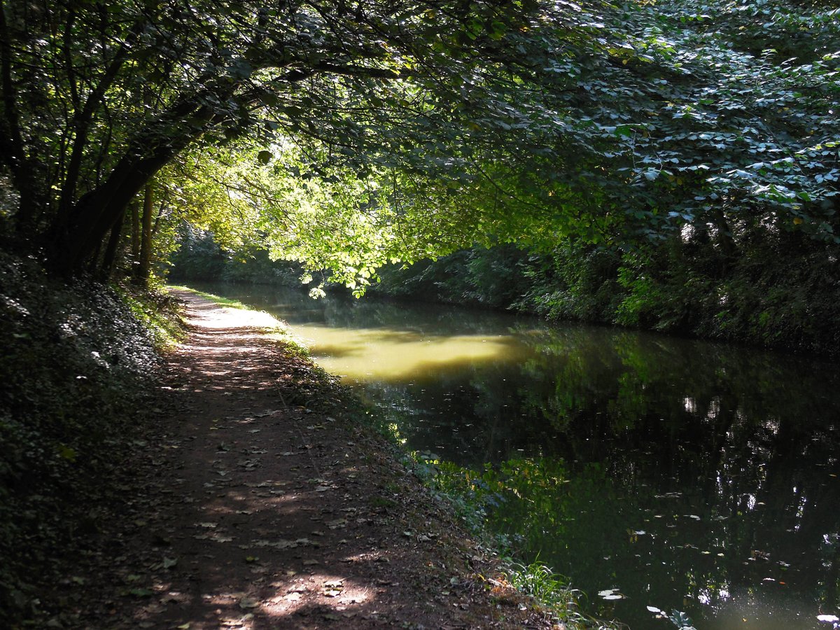 retired_tom's tweet photo. My photos from #September 2018
#CanalRiverTrust #GrandUnionCanal #Bulbourne #TringSummit #Lock #Bridge #Narrowboat #Reflections
#Canals & #Waterways can provide #Peace & #calm for your own #Wellbeing #Lifesbetterbywater #KeepCanalsAlive https://t.co/wvTlcCDZQu