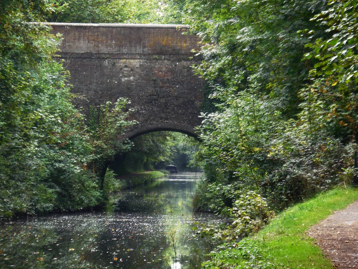 retired_tom's tweet photo. My photos from #September 2018
#CanalRiverTrust #GrandUnionCanal #Bulbourne #TringSummit #Lock #Bridge #Narrowboat #Reflections
#Canals & #Waterways can provide #Peace & #calm for your own #Wellbeing #Lifesbetterbywater #KeepCanalsAlive https://t.co/wvTlcCDZQu