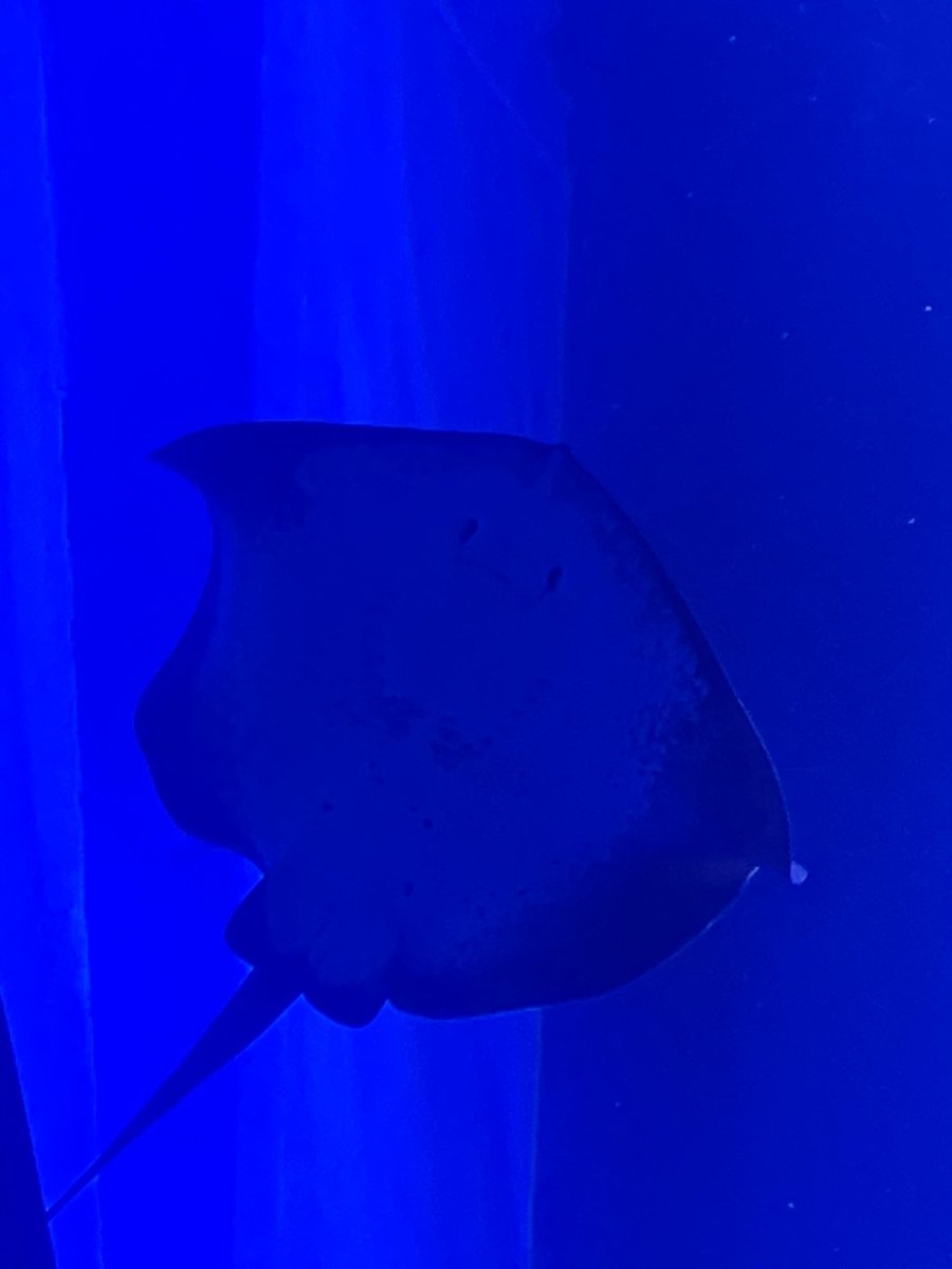 <a href="/nandeyanenyo05/">みなみ🍳朝ぶろす</a>