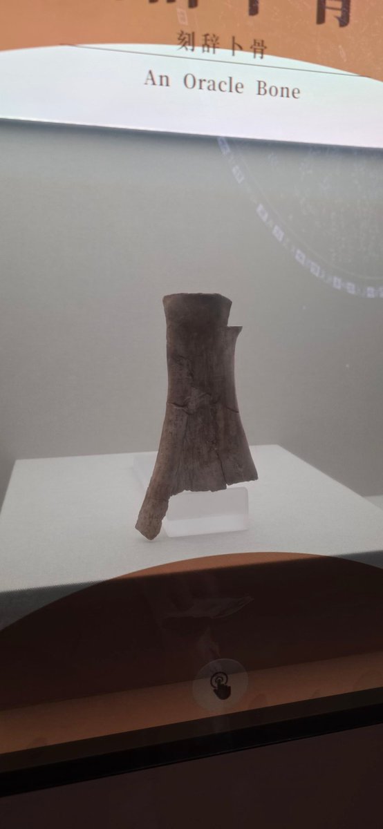 ルイ・ノラビス6号𓁢𓃗 tweet media