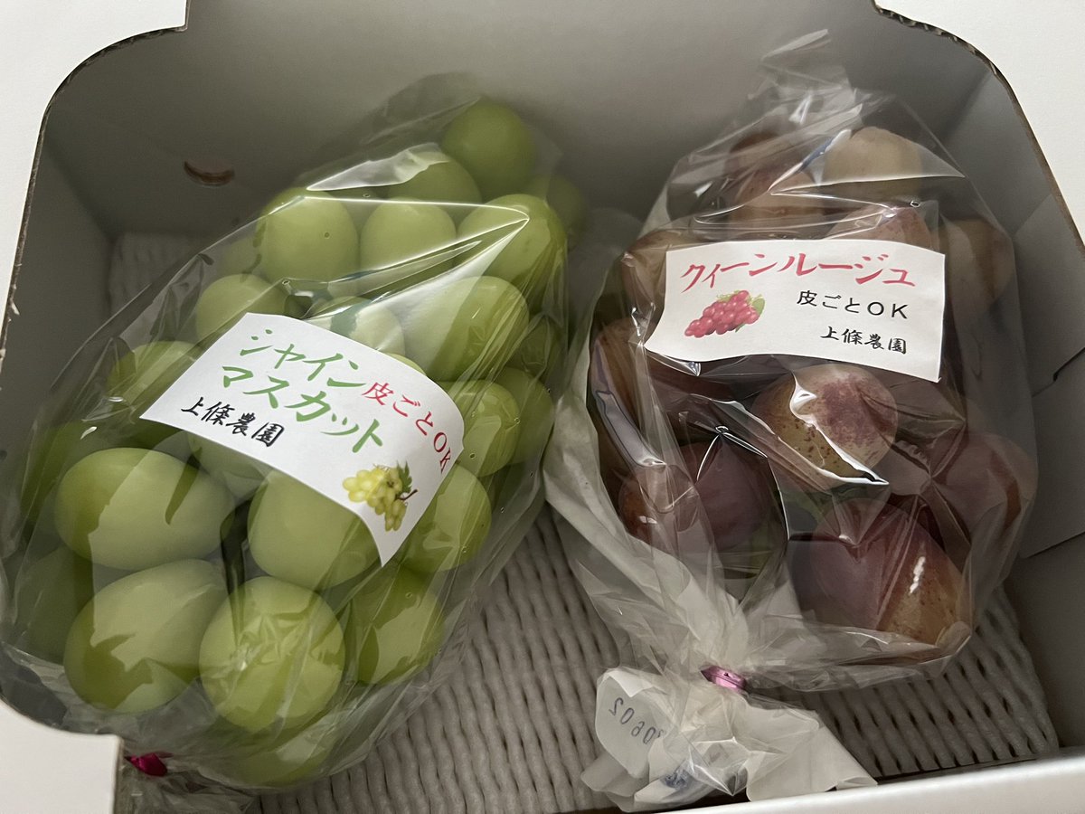 本当はクイーンルージュでなくナガノパープルの方が良いんだけどナガノパープルは旬の時期が短いらしい。

シャインマスカットに関してはもう飽きた感ある。

まあでも美味しいんだけどね！