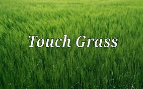 macos7194's tweet photo. @opensea grass on earth https://t.co/aPHhwDRtMz