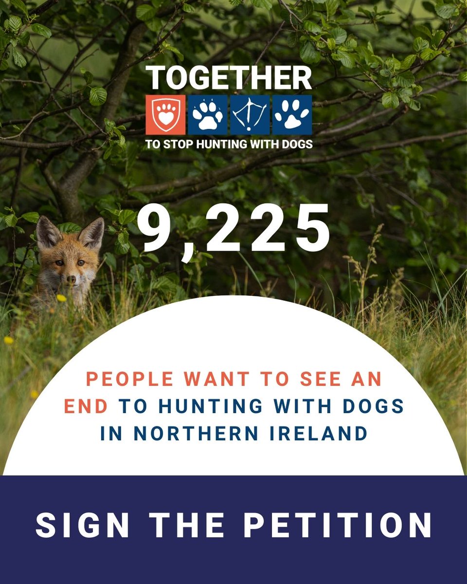 LeagueACS's tweet image. We still need your support.

The League &amp;amp; @uspcaofficial are calling for a full ban on hunting with dogs.

Polls show that between 7 &amp;amp; 8 out of 10 people in Northern Ireland want to see this barbaric practice stopped.

Sign the petition: leagueacs.co.uk/ag8jI

#TimeForChangeNI