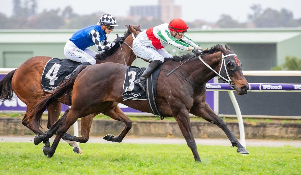 Rokanori returns to the winners’ list! 🏆 

The 7-year-old produced a strong performance to take out the $100,000 Nicopolis Stakes at Belmont Park. Jordan Turner guided him home for the in-form Gangemi Stable, who continue their impressive recent run. 

📷<a href="/WesternRacepix/">Western Racepix</a>