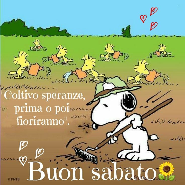 Marianna tweet media