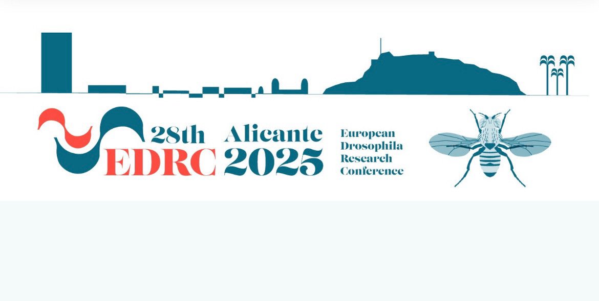 Abstract submission is now closed but you can still register to #EDRC2025 until the meeting starts! Looking forward to seeing you all in Alicante!