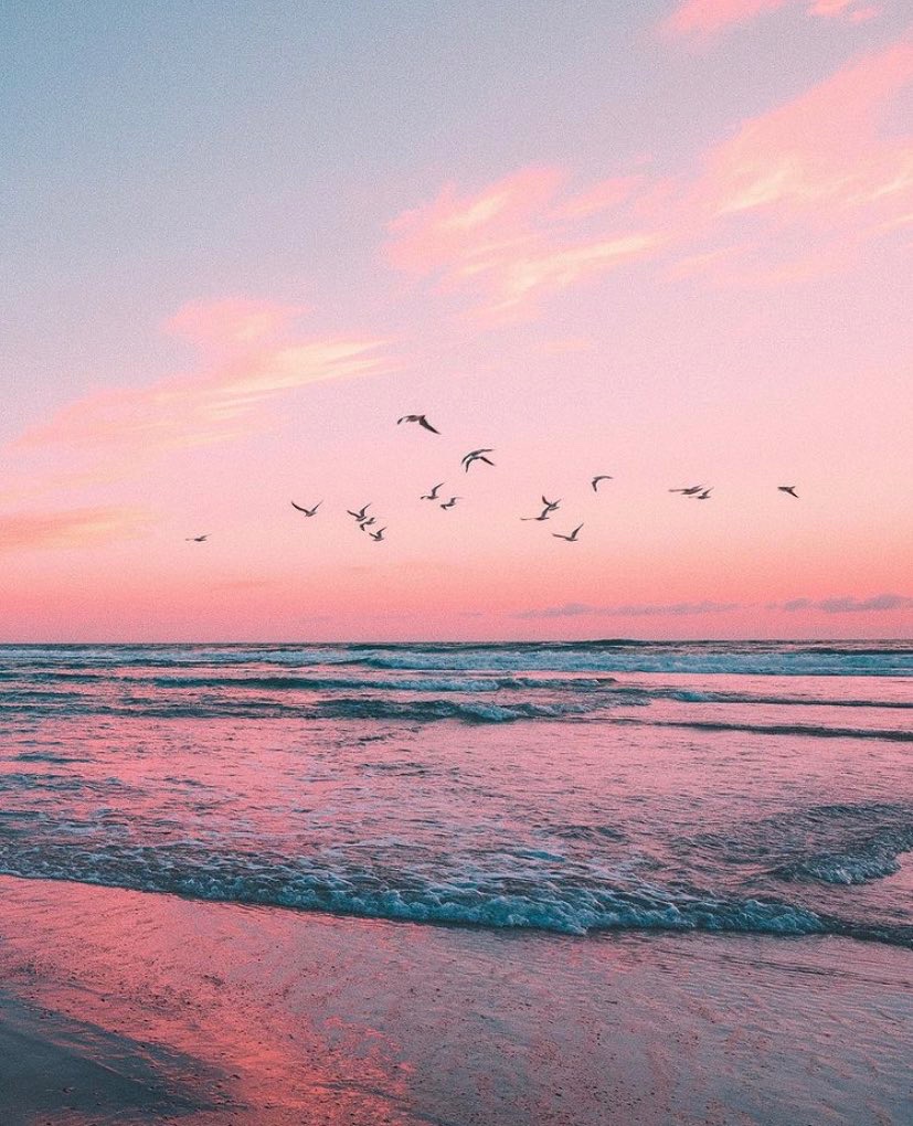 earthcurated's tweet photo. https://t.co/WaV4iA6yxw