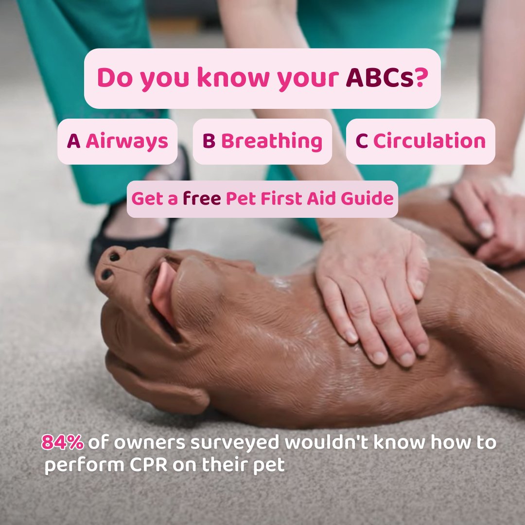 PDSA_HQ's tweet photo. Today is #WorldFirstAidDay 🐾

84% of pet owners we surveyed don’t know how to perform CPR on their pets. Be prepared with our FREE Pet First Aid Guide. It covers CPR, injury care and prevention tips. 

Download it here: https://t.co/G0W9HjqfRR

#petfirstaid #pethealth https://t.co/c9ieegXGpS