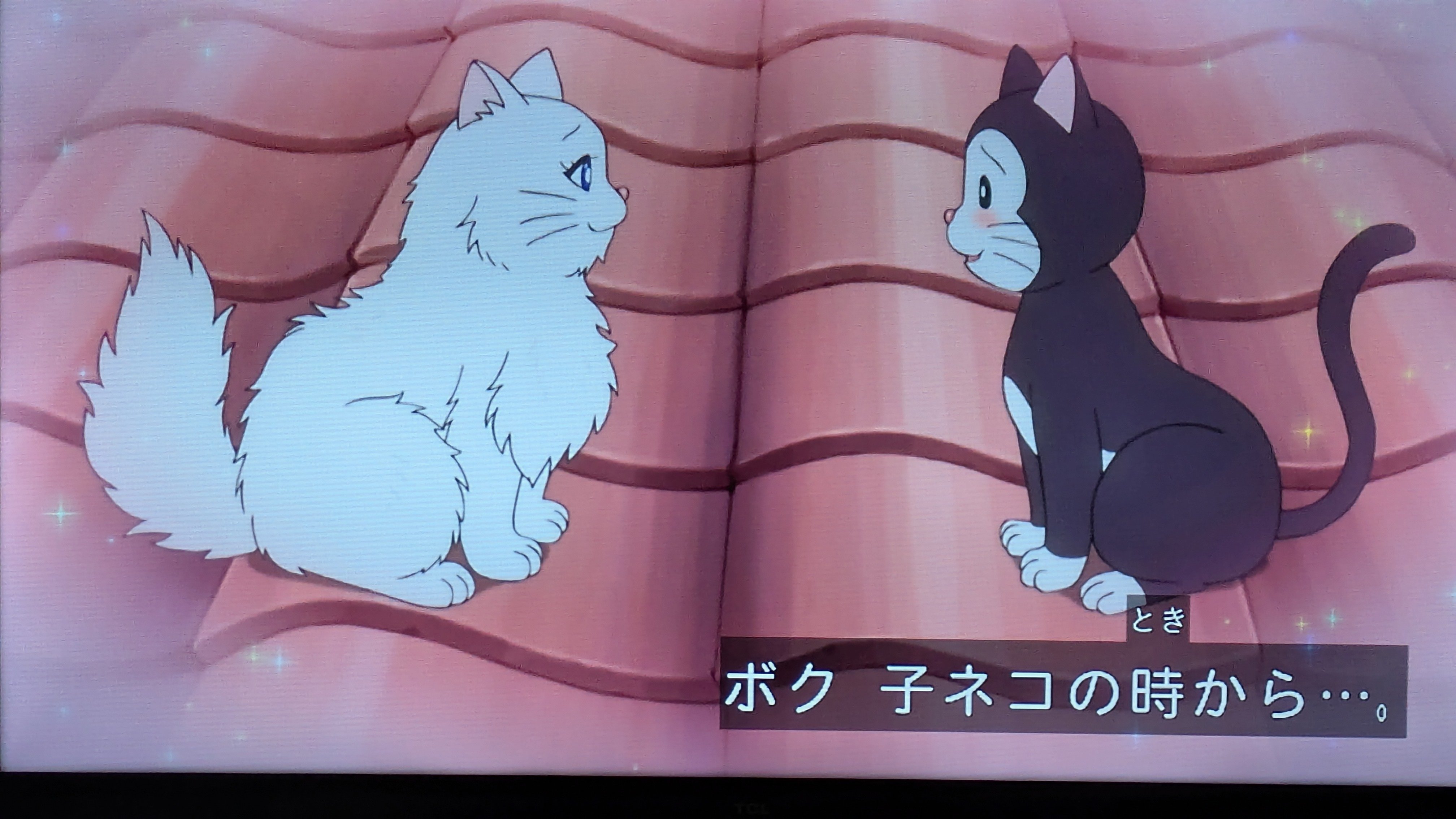 たあーほしままだつぼぱもっと on X: 