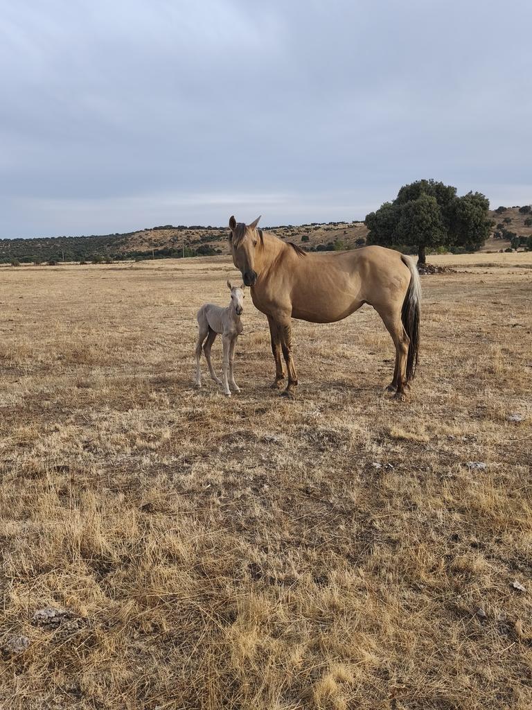 Vida ....
#CamposDeSalamanca