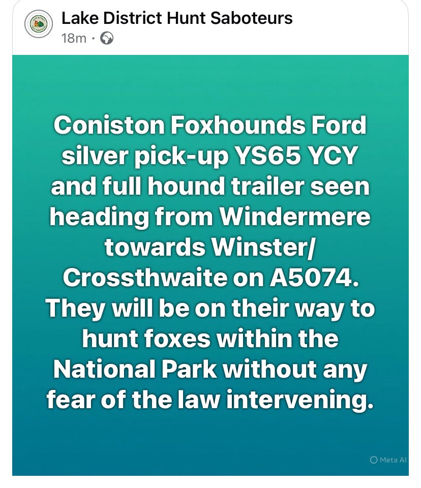 Fox Net Cumbria tweet media