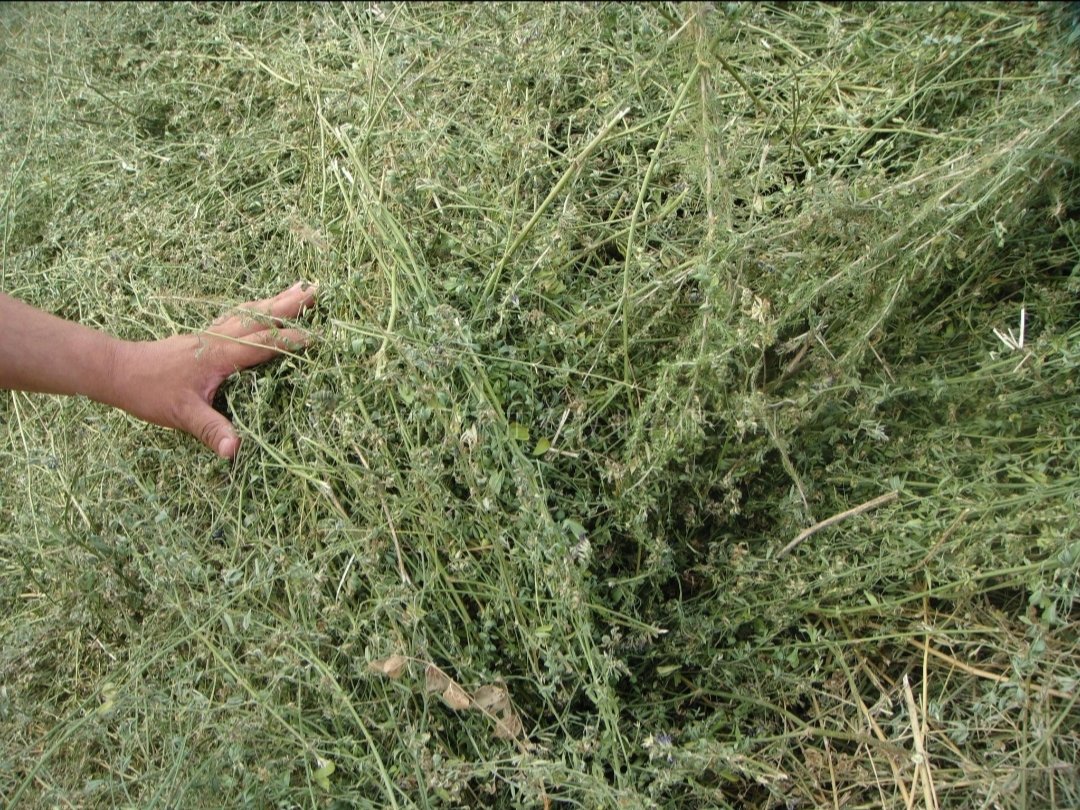 #openseatouchgrass <a href="/opensea/">OpenSea</a>  ca