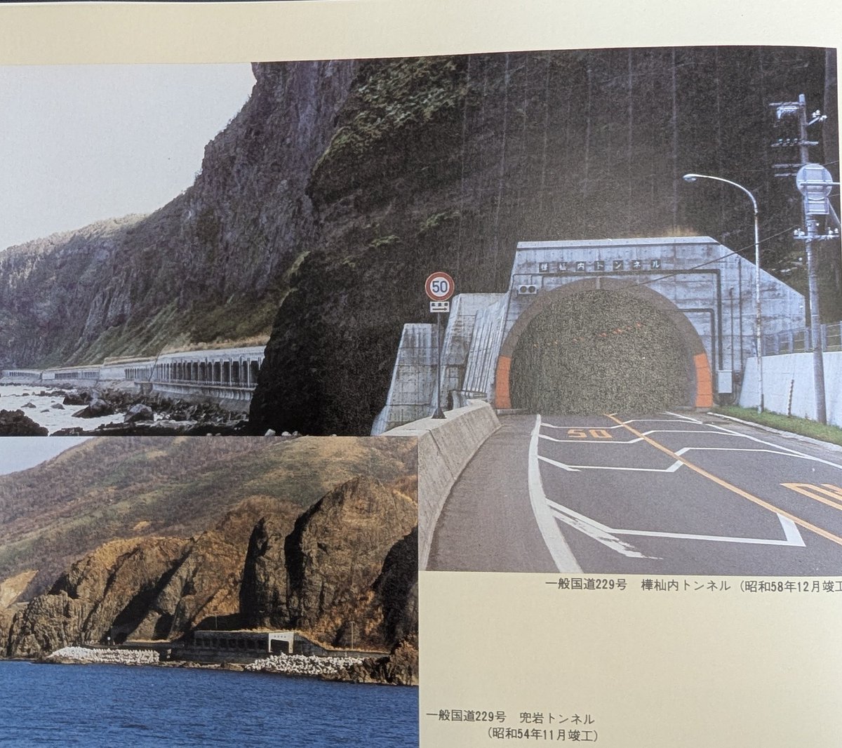 旅ねこ様 Amazon.co.jp: 猫様ペット (百合缶) 電子書籍: 丹羽禅: Kindleストア