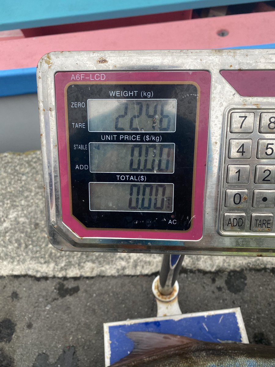 20㎏オーバーゲットした✨
嬉しいー‼️