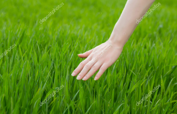 agusflips's tweet photo. Touch grass
@opensea

#openseatouchgrass https://t.co/bcTASbPL8n