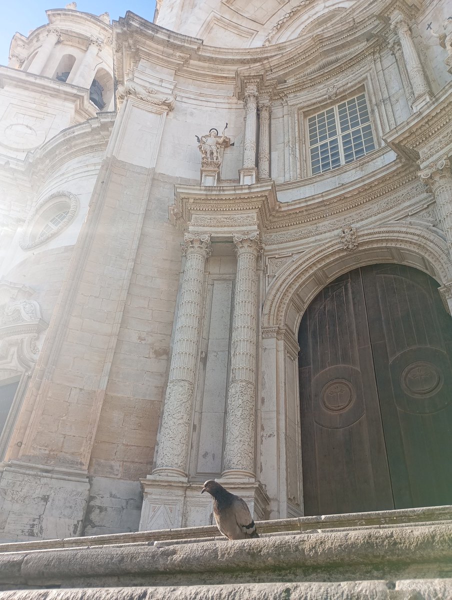 Bartolomé Rebollo (darthgambrinus) (@bart_rebollo) on Twitter photo Viendo al <a href="/yuyudecai/">José Guerrero Yuyu</a> en Cádiz, a ver si viene el resto del grupo y empiezan a tocar #deplazaenplaza #lospalomos
<a href="/ProgramaDelYuyu/">El programa del Yuyu</a> Viendo al <a href="/yuyudecai/">José Guerrero Yuyu</a> en Cádiz, a ver si viene el resto del grupo y empiezan a tocar #deplazaenplaza #lospalomos
<a href="/ProgramaDelYuyu/">El programa del Yuyu</a>