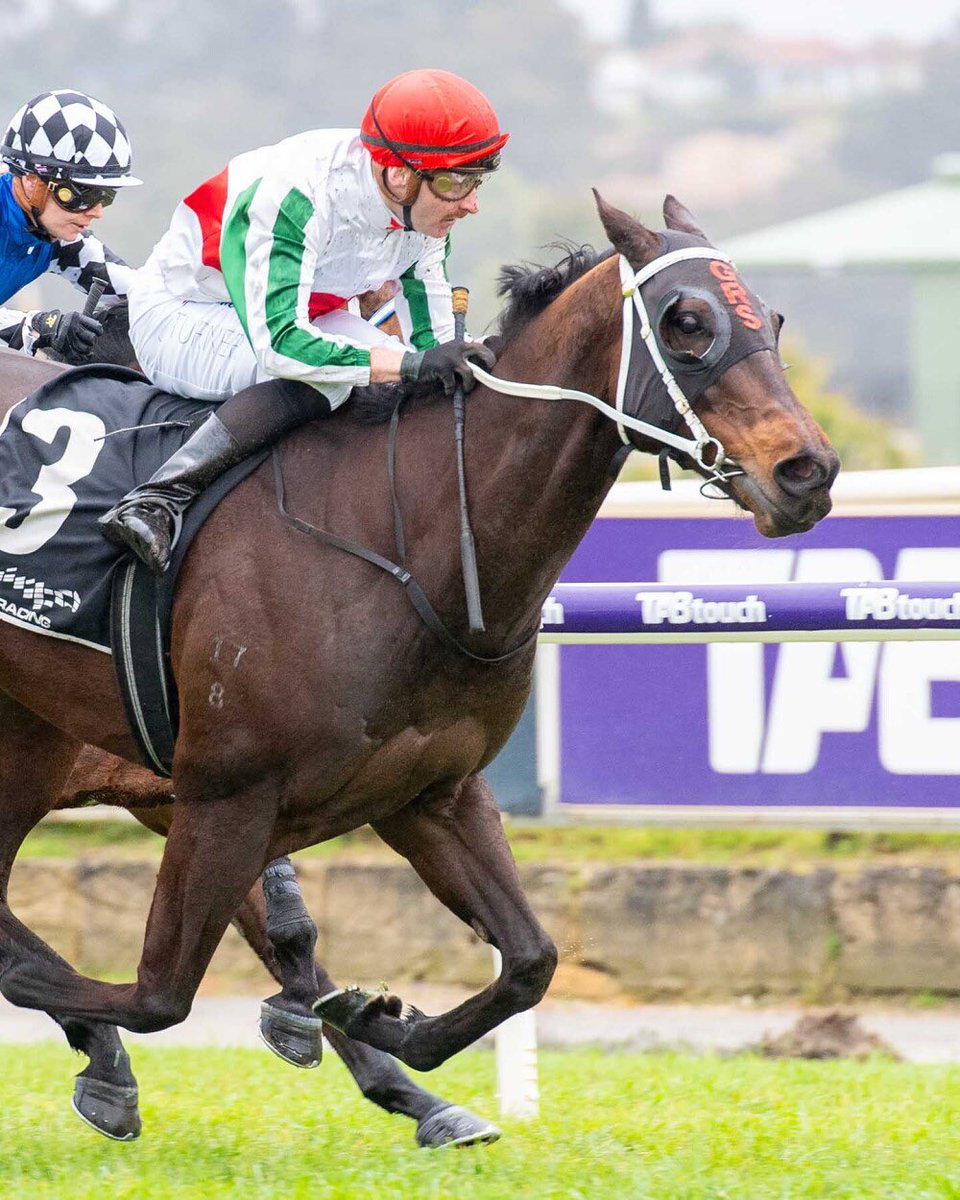 Team Gangemi have Rokanori going super 🔥