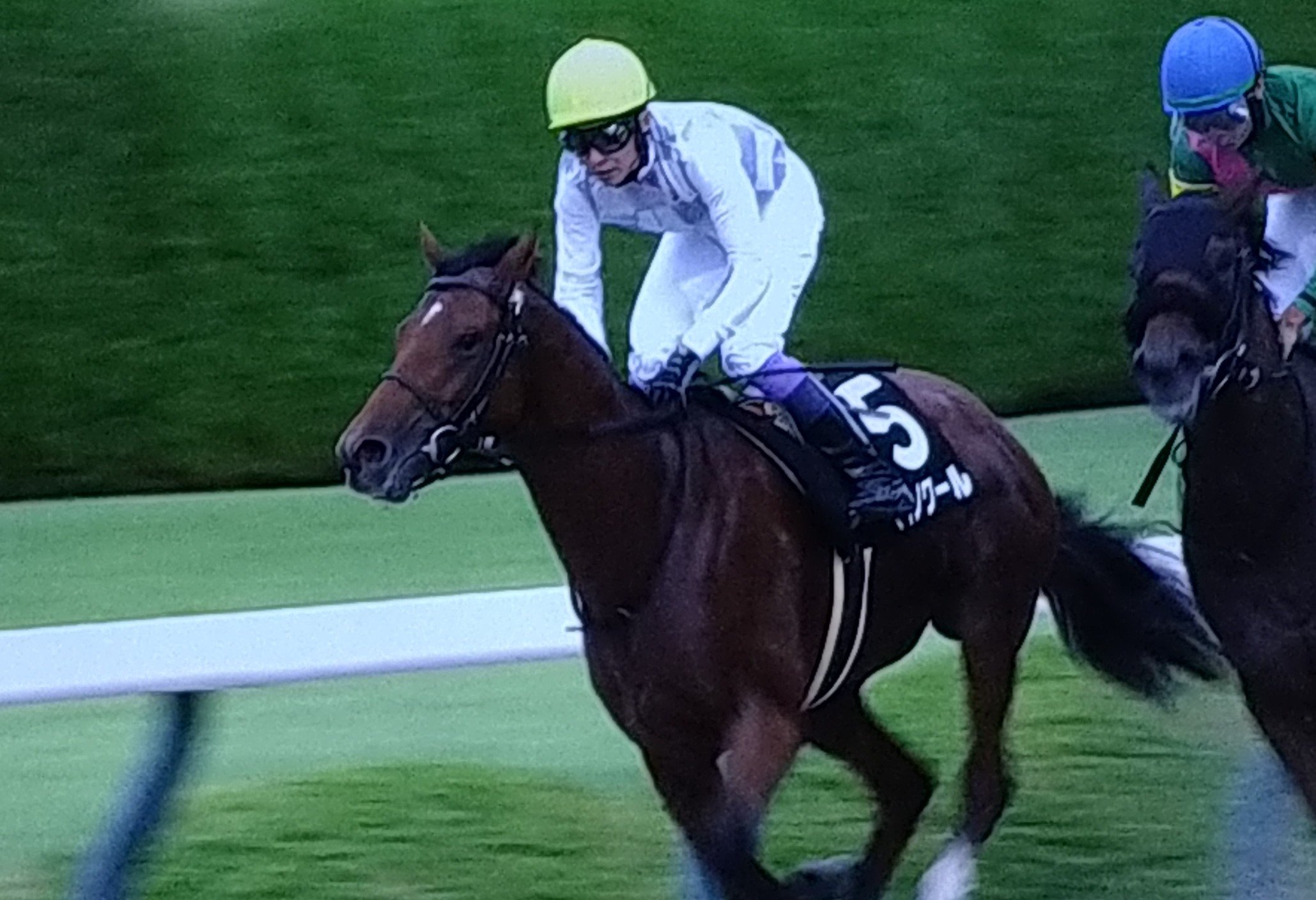 希少♦️武豊メジロマックイーン引退式パネル 希少♦️武豊メジロマックイーン引退式パネル 希少♦️武豊