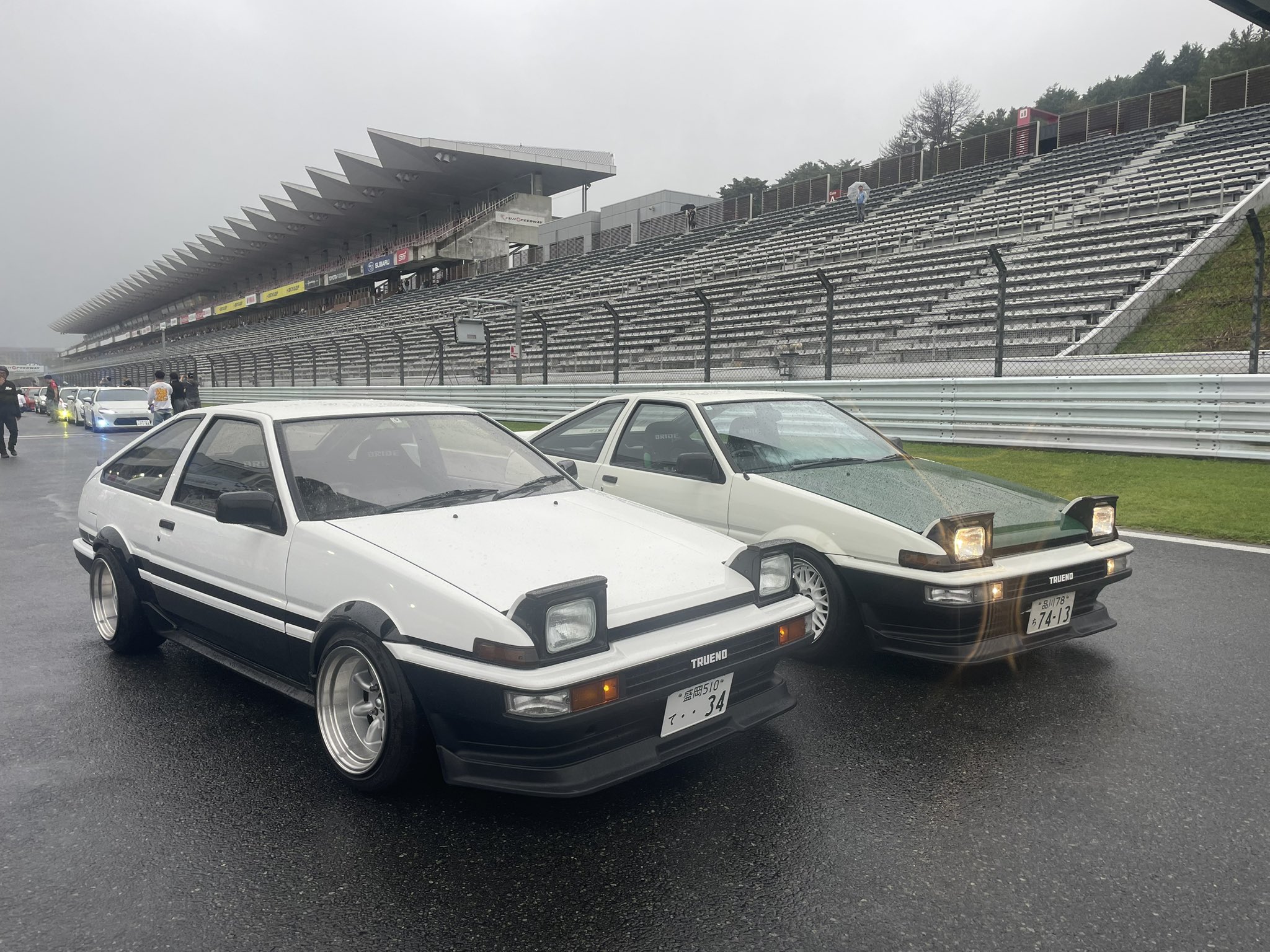 aiai様 童仙房ナーセリー＆ガーデンのテーブルランジア,庭のあじさい苗