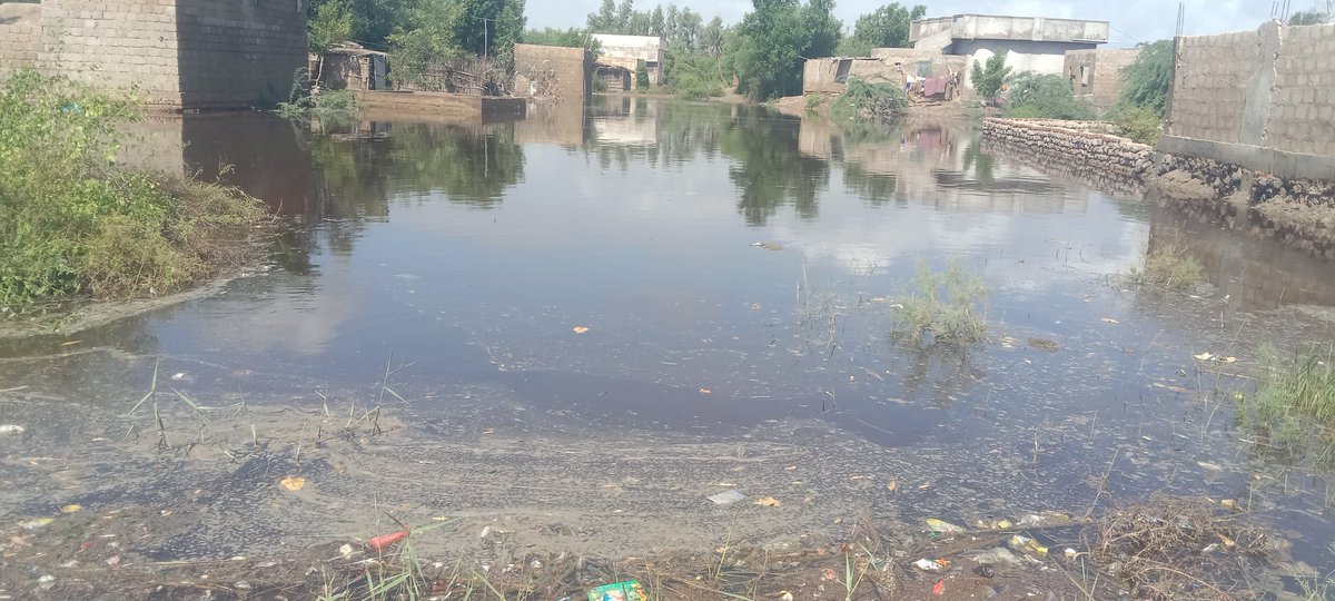 AkramMeer786's tweet photo. Village Gul Muhammad Mirbahar, UC Mirzo Laghari Sujawal is under rainwater,many houses collapsed.Despite repeated calls, the UC Chairman took no action. Same negligence every year.
@BBhuttoZardari please take notice and act against such careless people.
#FaryalTalpur #SindhCM https://t.co/l3ClA31B9I