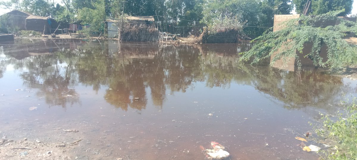 AkramMeer786's tweet photo. Village Gul Muhammad Mirbahar, UC Mirzo Laghari Sujawal is under rainwater,many houses collapsed.Despite repeated calls, the UC Chairman took no action. Same negligence every year.
@BBhuttoZardari please take notice and act against such careless people.
#FaryalTalpur #SindhCM https://t.co/l3ClA31B9I