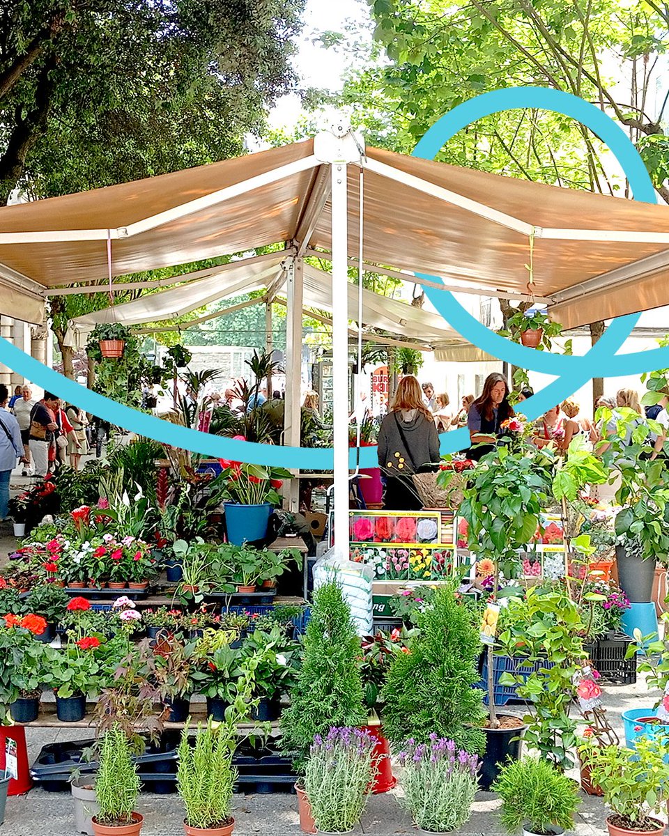 💐El mercadillo de las flores Los Escalantes es uno de esos lugares con encanto que te alegra el día. Súbete a tu bici, pedalea entre calles y disfruta de la ciudad. 🚴‍♀️

✨No importa a dónde vayas,  ¡TUeBICI te lleva!

#santanderenbici   #planesensantander #movilidadsostenible