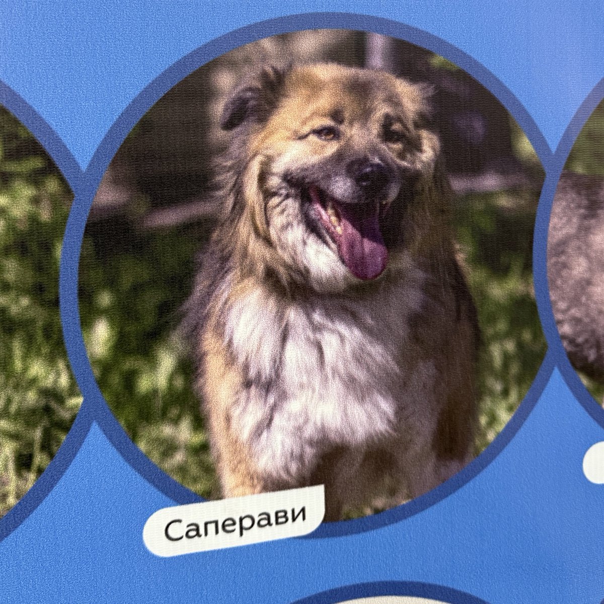 мы с <a href="/proustration/">დათიკო</a>