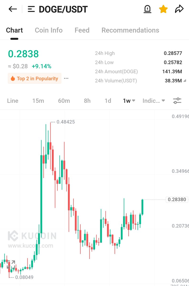 WIZZ🥷 ( beware scammers ) tweet media