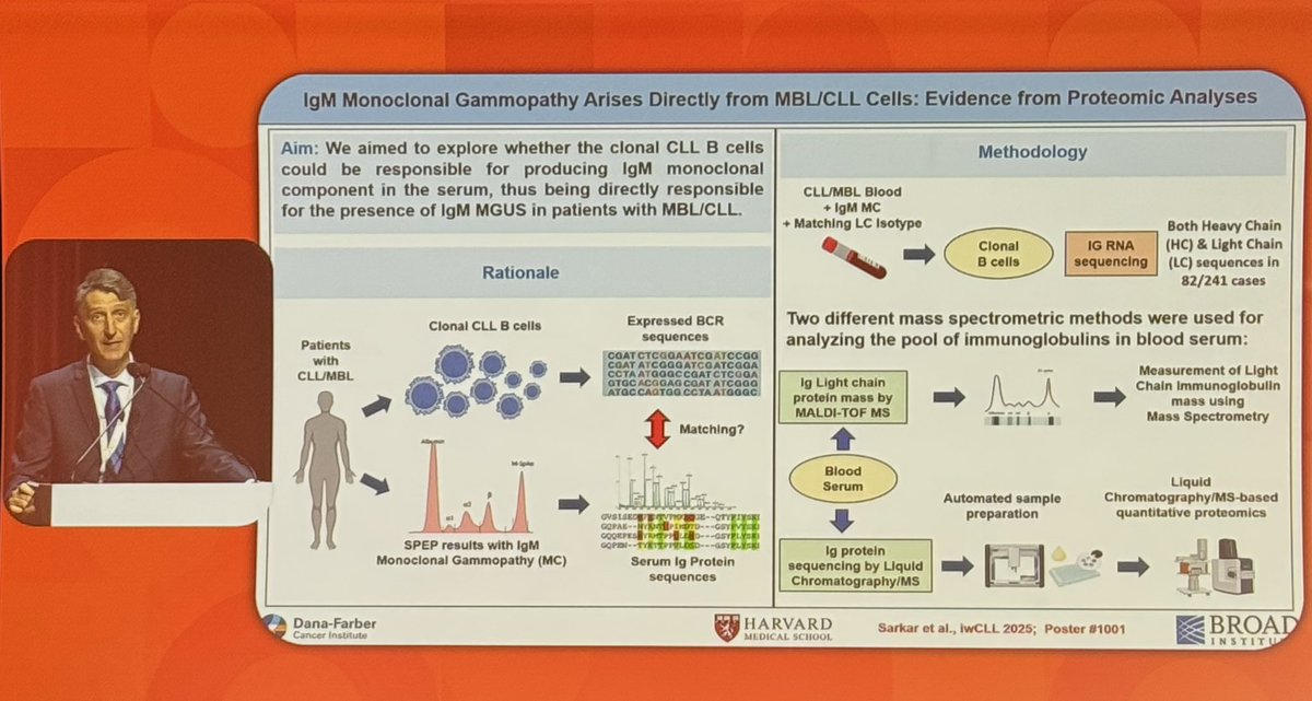 calliecoombs tweet media