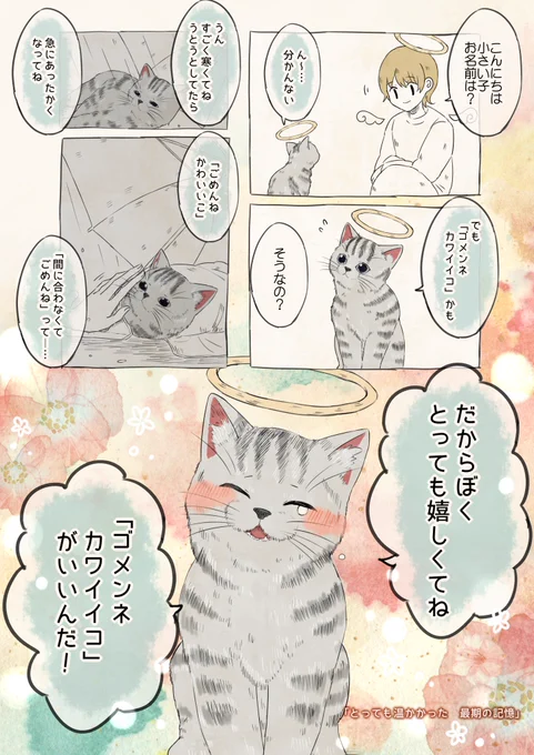 自分の名前を勘違いしている…?子猫 