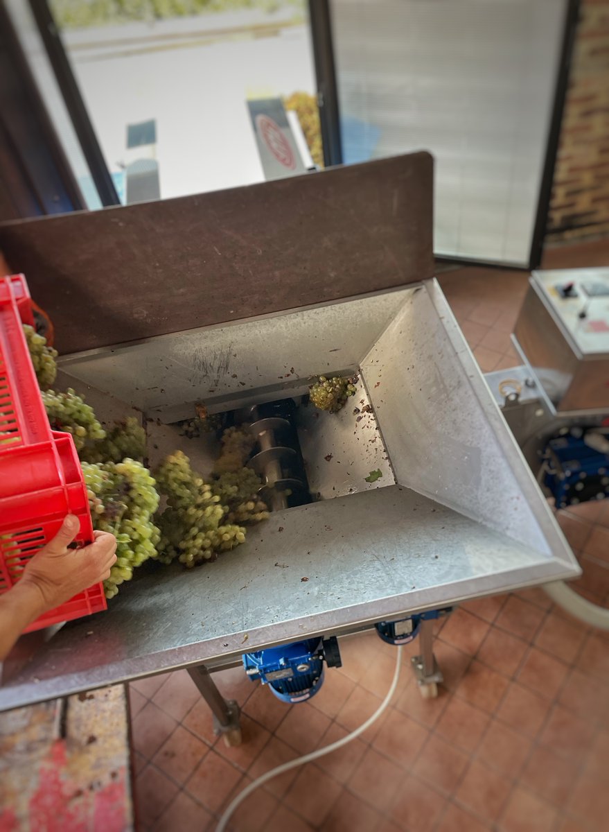 Cogno Wines l Barolo Ravera tweet media