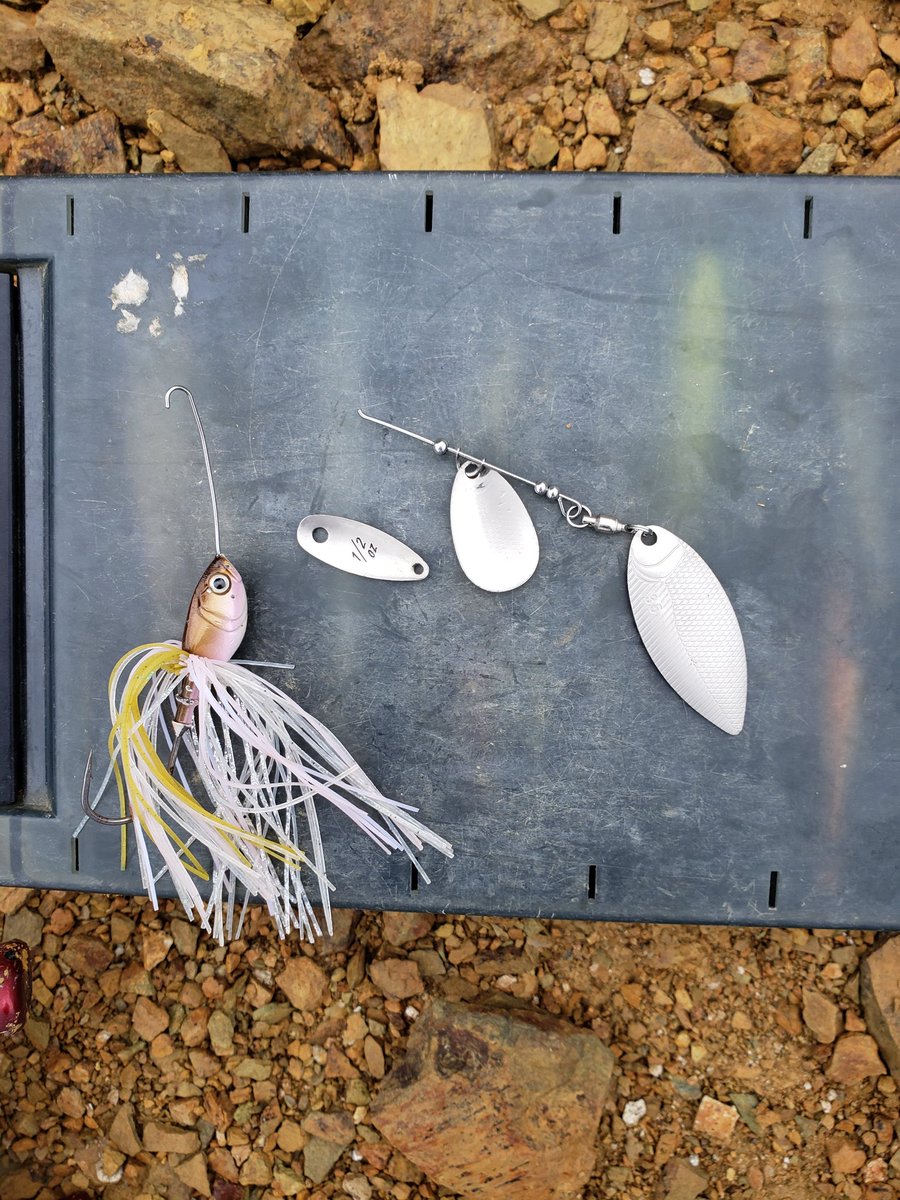 masaページ masa on X