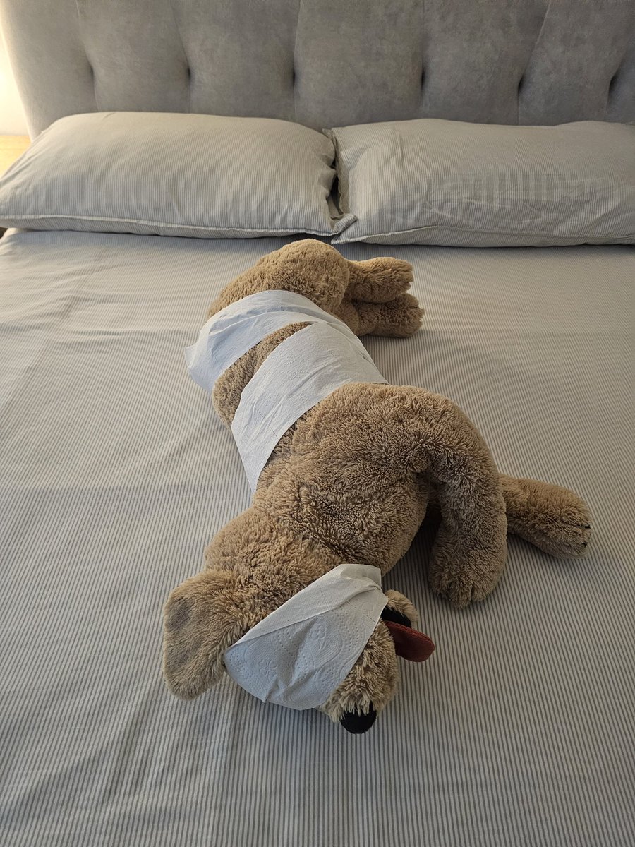 숙소에 등장한 의문의 강화인간