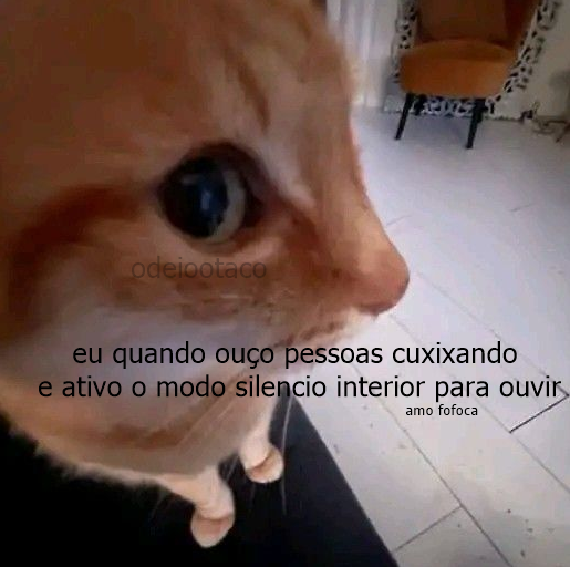 odeiootaco's tweet photo. https://t.co/brgbbiOaPn