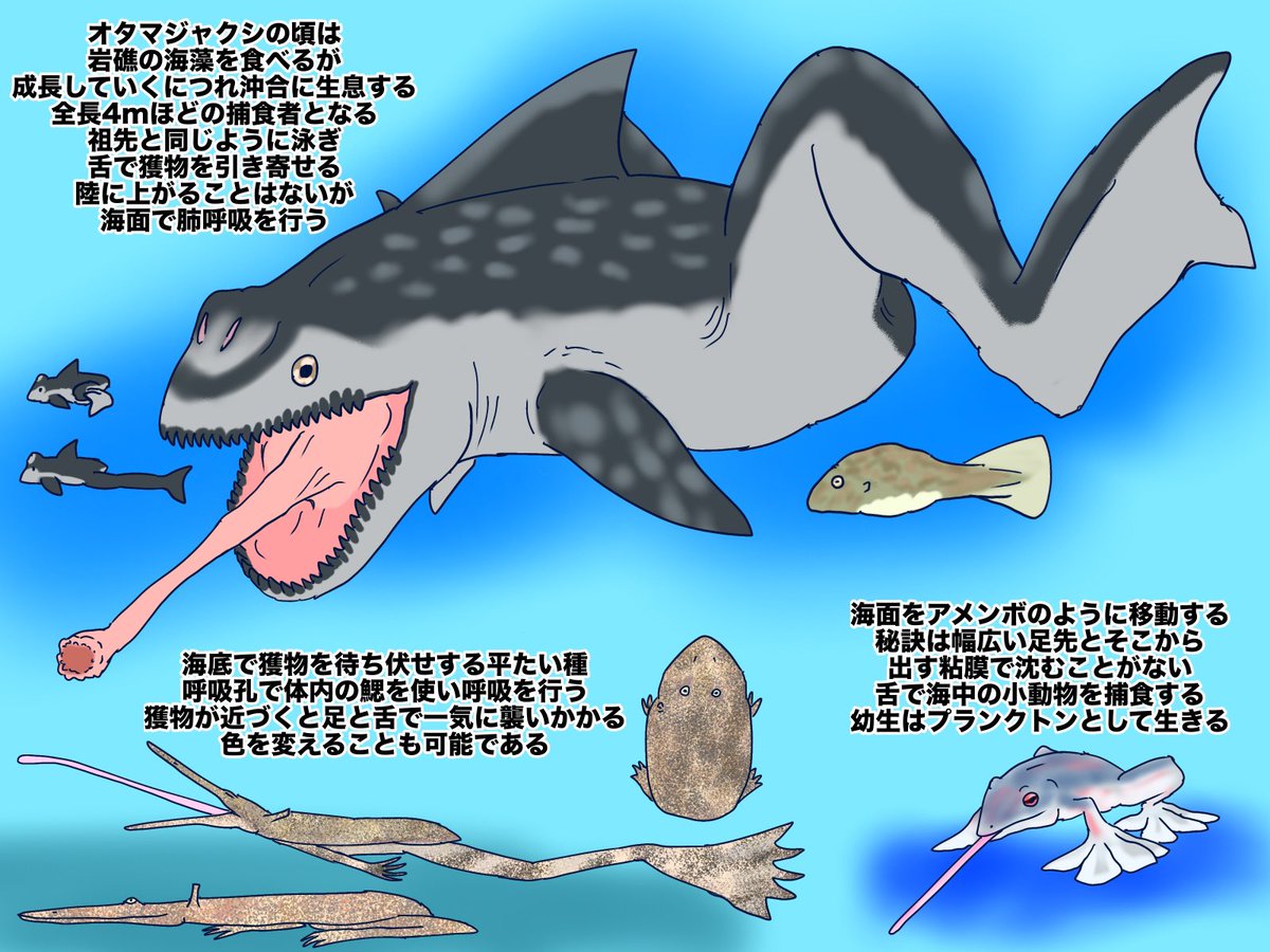 思弁生物ビッグポスト #Spectember #未来進化 カニクイガエルと