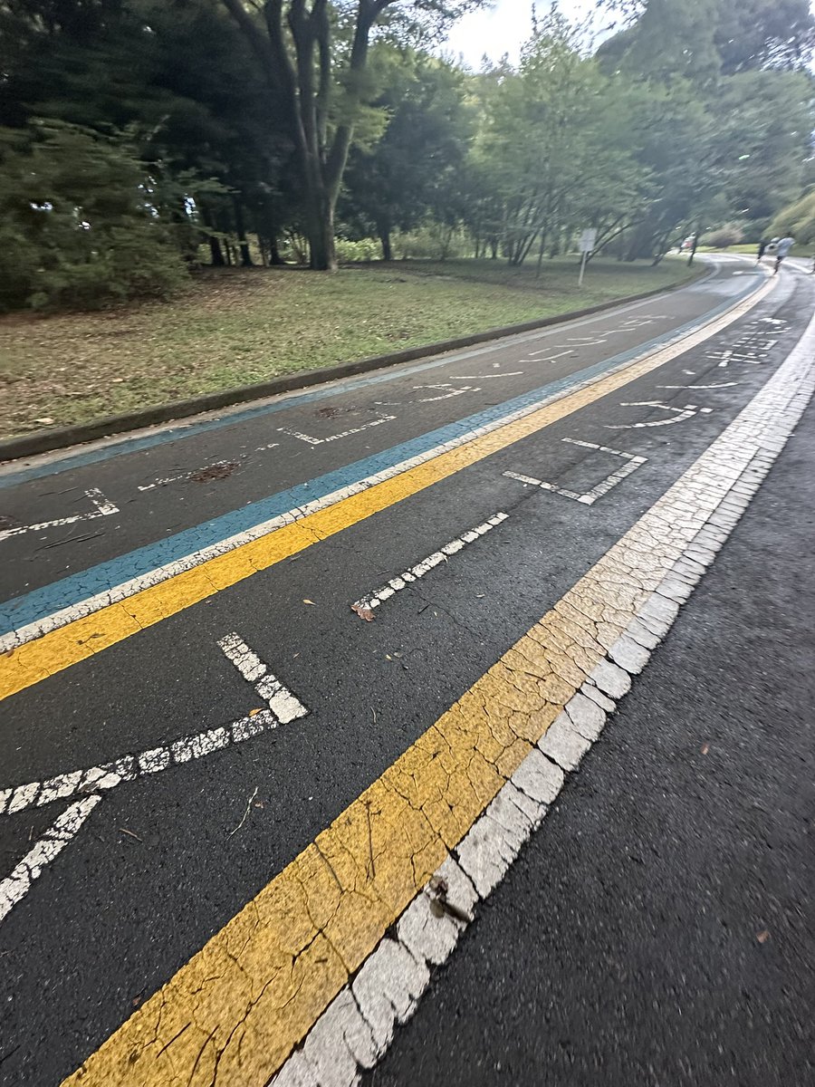 デビューしました。
