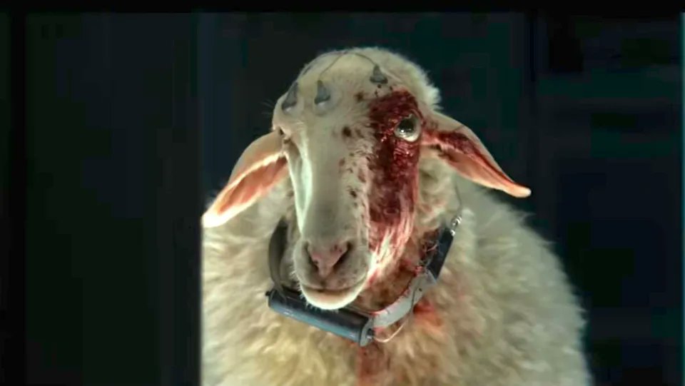 𝐍𝐢𝐜𝐤 𝐇𝐨𝐥𝐦𝐞𝐬 tweet media