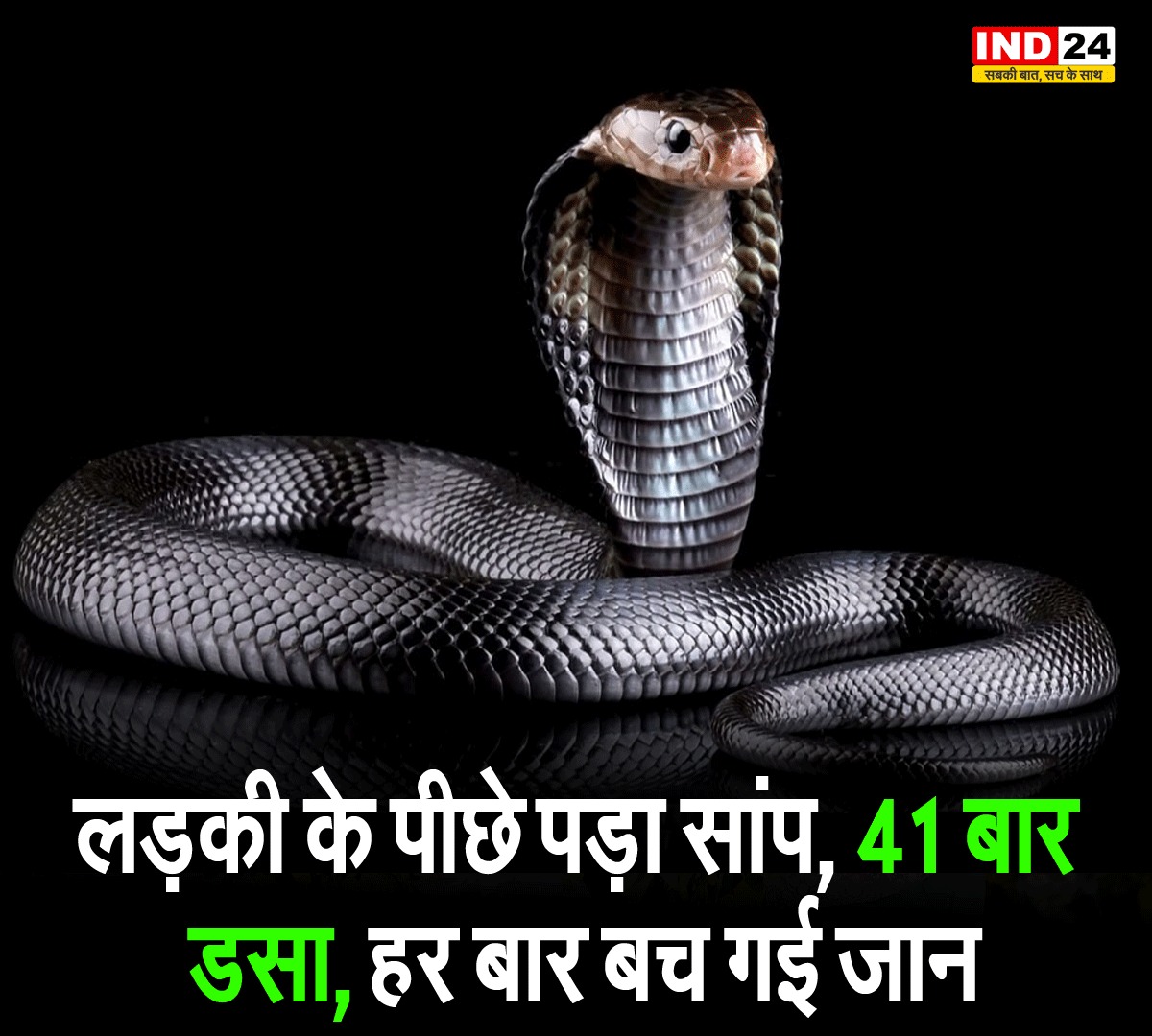IND24MEDIA's tweet image. लड़की के पीछे पड़ा सांप, 41 बार डसा, हर बार बच गई जान

#SnakeAttack   #41BitesSurvivor  #UnbelievableButTrue  
#SnakeChaseStory  #SurvivedSnakeBites  #ViralNews  
#ShockingIncident  #SnakeStoryIndia  #RealLifeMiracle  
#GirlVsSnake